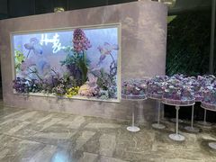 -同庆楼(花园店)