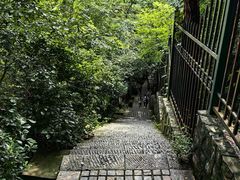 -紫金山山顶公园