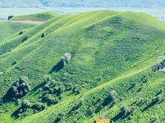 -新疆那拉提国家旅游度假区