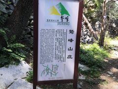 -北京鹫峰国家森林公园