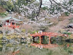 -醍醐寺