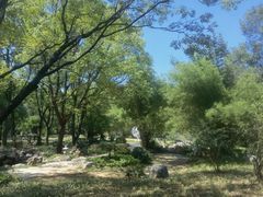 -东湖落雁景区