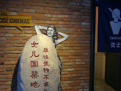 -CGV影城(万象城激光IMAX店)