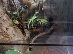 -中国湿地博物馆