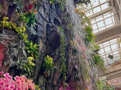-正佳雨林生态植物园