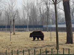 -秦皇岛野生动物园