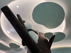 -眉州东坡·熊猫主题餐厅(枫蓝店)