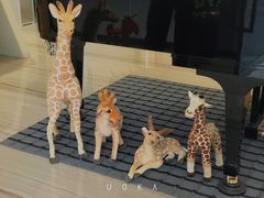 -刘健艺术钢琴学校·专注钢琴教育25周年(徐家汇校区)