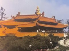 -老山东·山东菜(鲁菜名店)