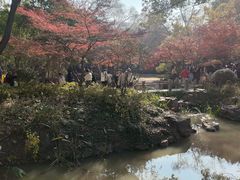 -秋霞圃