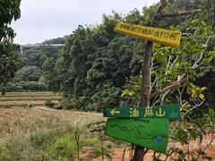 -黄埔油麻山森林公园