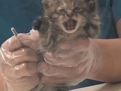 -宠颐生中康贝怡动物医院