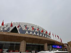 -水秀国际大剧院