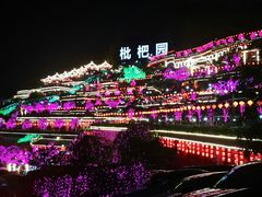 -枇杷园食为鲜火锅(南山店)
