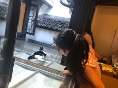 -猫的天空之城概念书店(杭州南宋御街店)