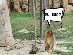 -上海野生动物园