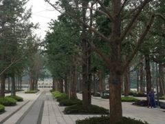 -百林公园-两江幸福广场