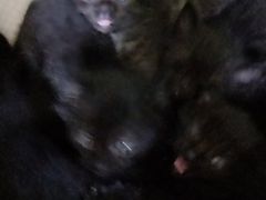 -仓库烤肉(绿园店)