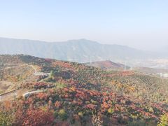-定都峰