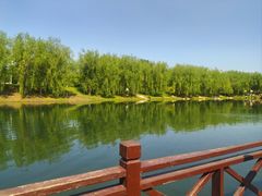 -长春公园(普阳街道)
