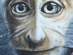 -槟城街头艺术街区