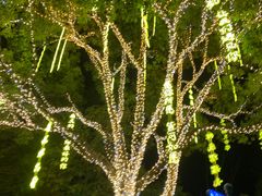 -横店影视城梦幻谷园区