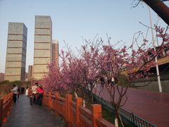 -艾溪湖湿地公园