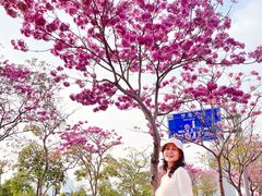 -万科前海企业公馆