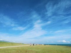 -青海湖国家重点风景名胜区