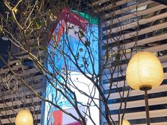 -桂满陇·海市蜃楼·黑金(国金店)