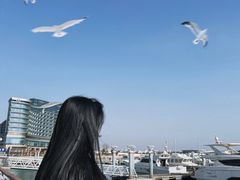 -巧克力渔家.小船海鲜胶东菜(万平口店)