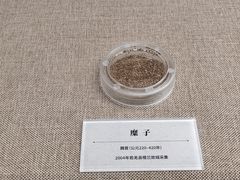 -巴音郭楞蒙古自治州博物馆