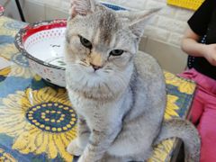 -平行世界·猫咖(首经贸店)