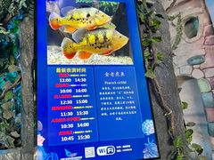 -合肥海洋世界