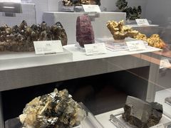 -湖南省地质博物馆