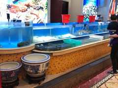 水产区-万荣烤鸭店·北京菜(天坛店)