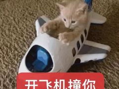 -笨罗卜浏阳菜馆(龙华鹏润达店)