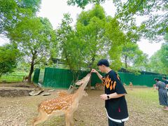 -秀丽东方