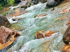 -广州白江湖森林公园