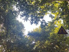 -李想大虾(牡丹路店)