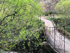 -黑河国家森林公园