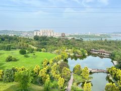 -张坝桂圆林公园