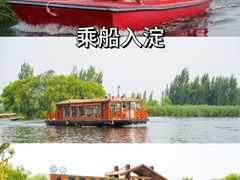 -白洋淀景区