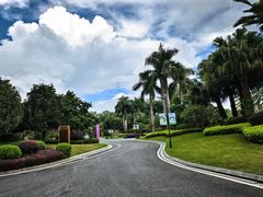-南宁荔园维景国际大酒店·荔园中餐厅