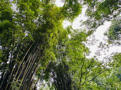 -成都杜甫草堂博物馆