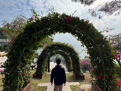 -胡里山炮台