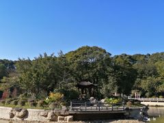 -广州市帽峰山景区