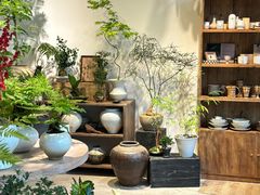 -自由生长植物工作室(深港花卉中心店)