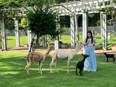 -东南花都花博园