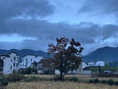 -塔川景区